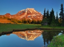 day_78767109_USA Tours - Mount rainer national park - view